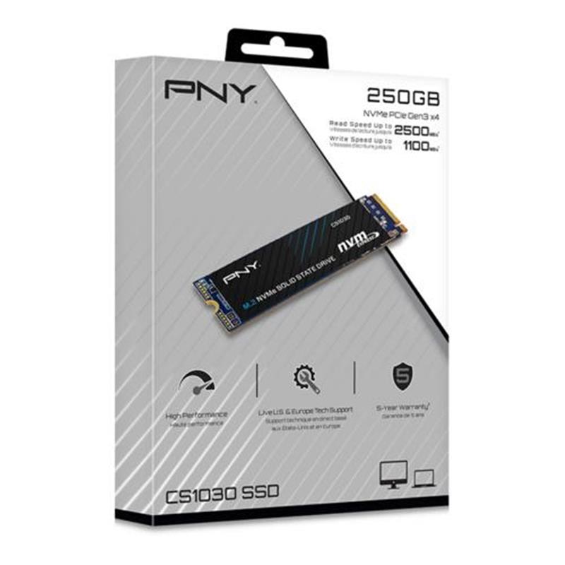 PNY SSD M.2 (2280) 250GB CS1030 (PCIe/NVMe) Retail