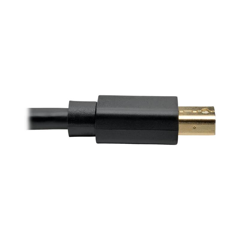 Tripp Lite P583-010-BK DisplayPort kabel 3 m Mini DisplayPort Zwart