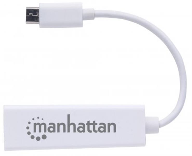 Manhattan 507585 netwerkkaart Ethernet 100 Mbit/s