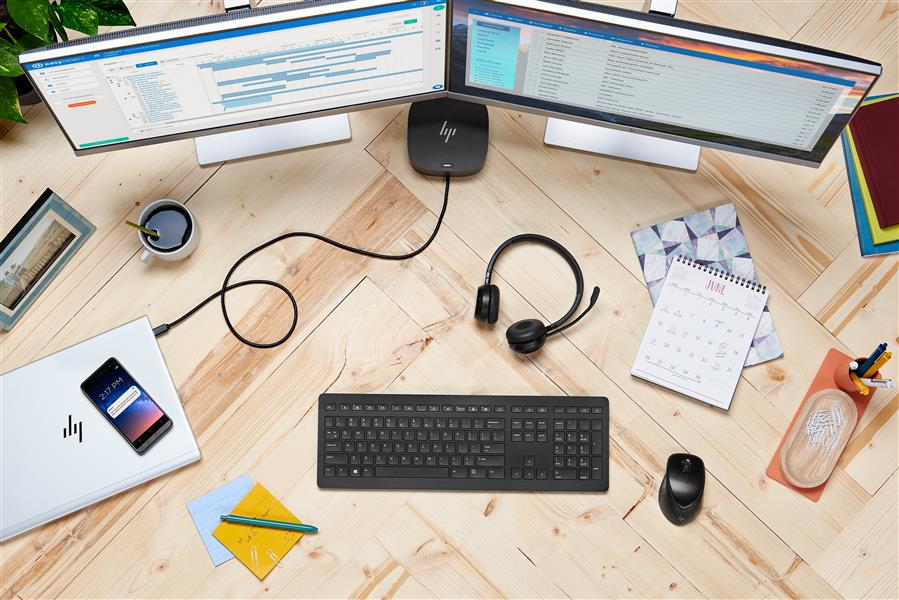 HP draadloze Premium muis