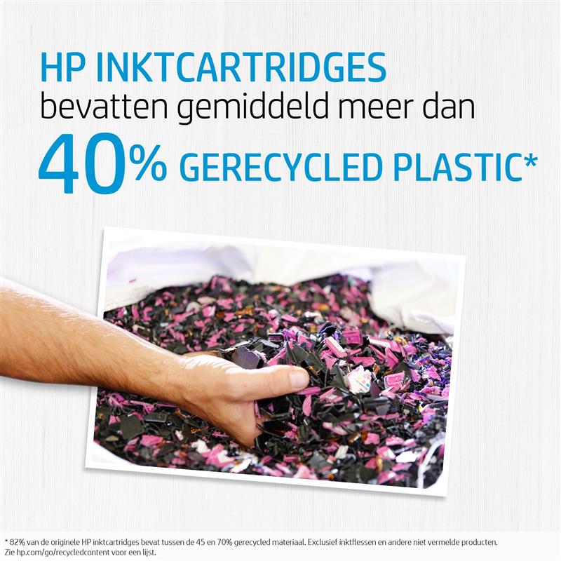 HP 300 originele zwarte inktcartridge