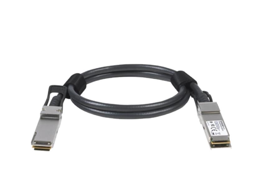 NETGEAR ACC763-10000S Glasvezel kabel 3 m QSFP28 Zwart