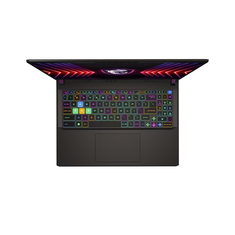 MSI Vector 16 HX A13VHG-419NL Intel® Core™ i9 i9-13980HX Laptop 40,6 cm (16"") Full HD+ 16 GB DDR5-SDRAM 1 TB SSD NVIDIA GeForce RTX 4080 Wi-Fi 6E (80