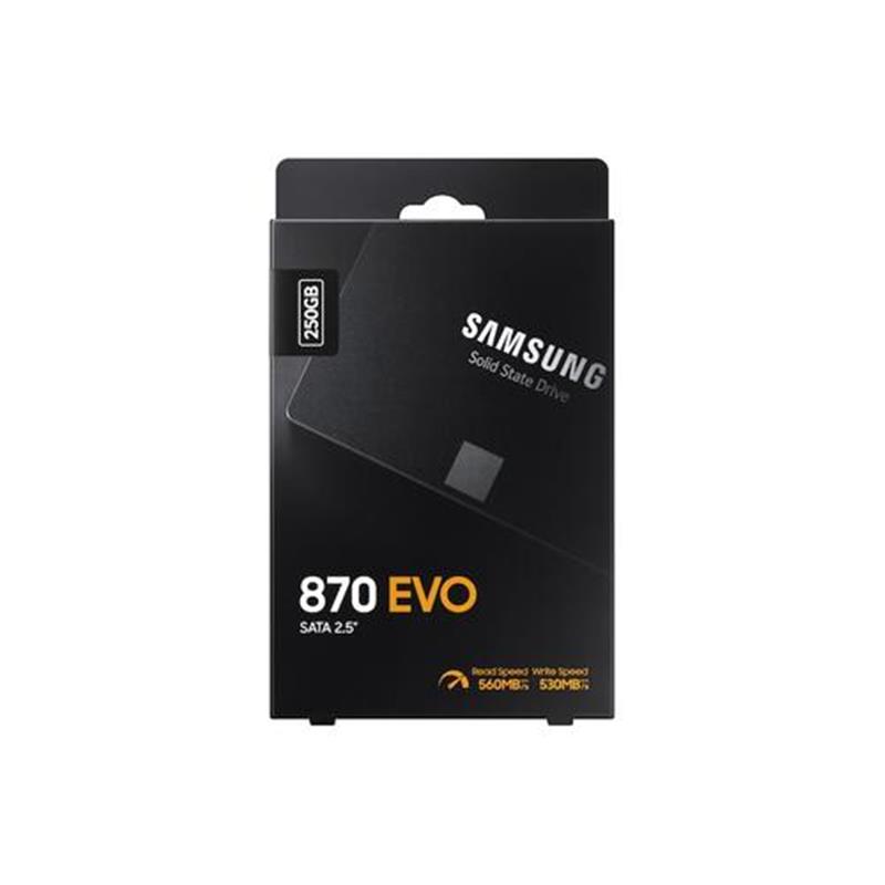Samsung 870 EVO 250 GB Zwart