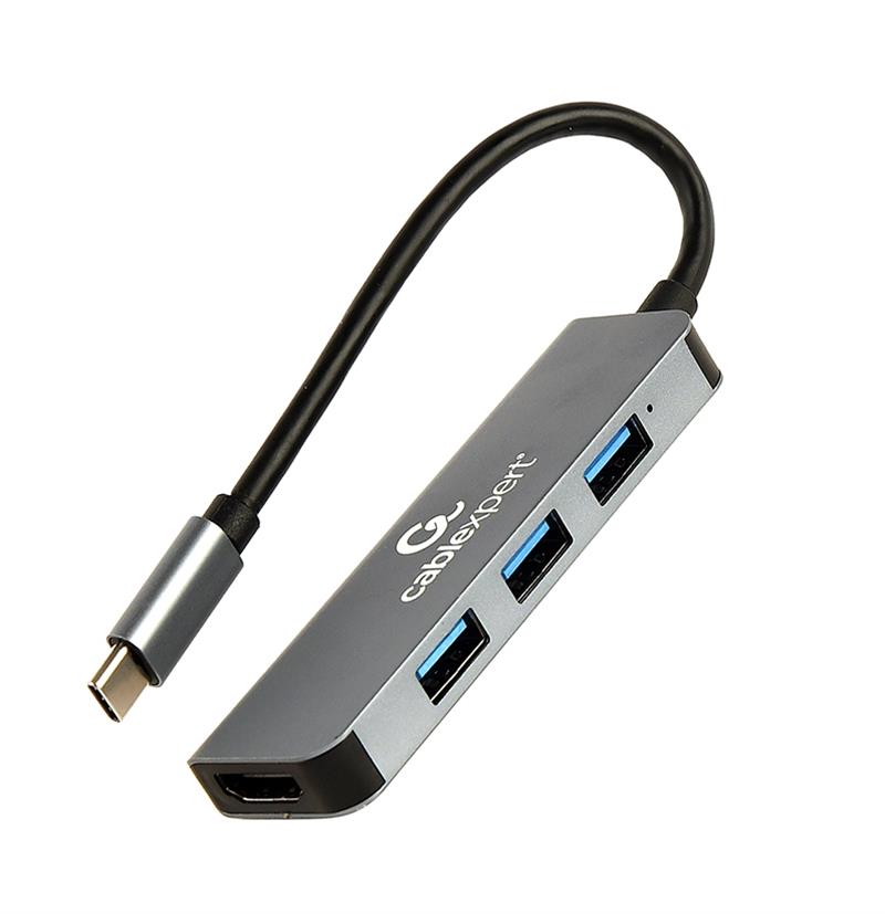 USB-C multi adapter 2-in-1