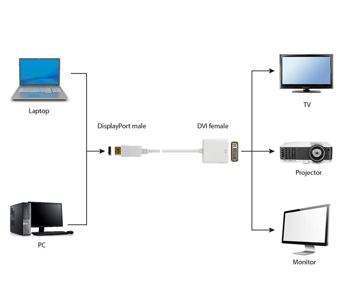 DisplayPort M - DVI F adapterkabel 10 cm wit