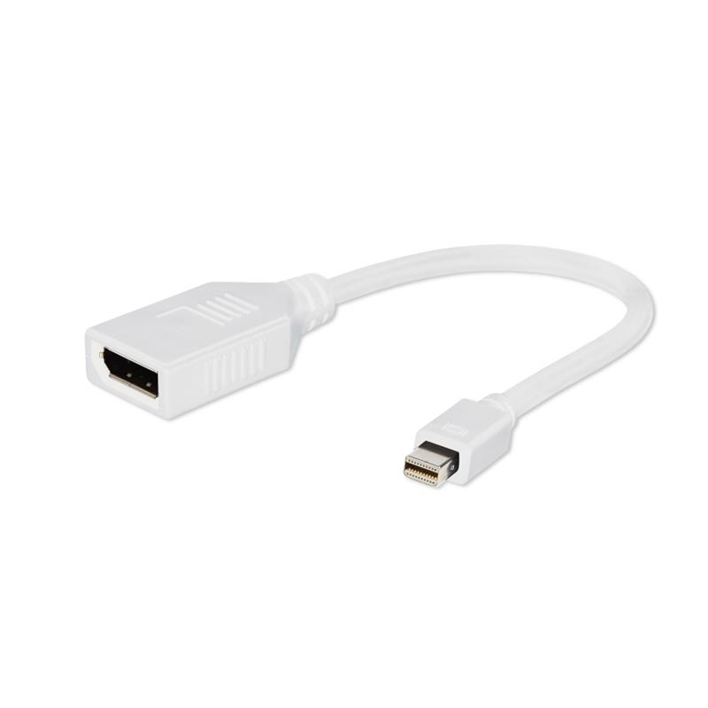 Mini DisplayPort naar DisplayPort adapterkabel 10 cm
