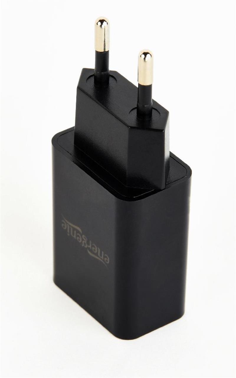 Universal USB charger 2 1 A black