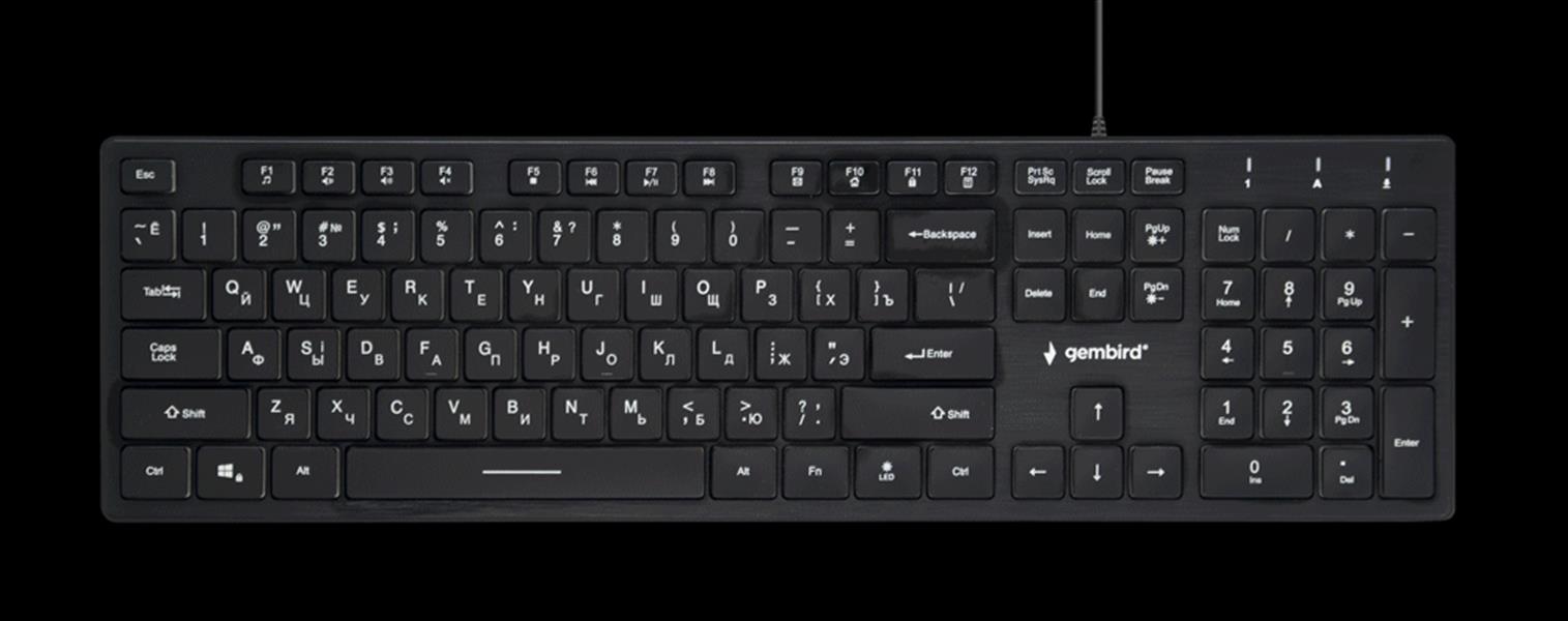 Multimedia toetsenbord zwart met BackLight Russische layout