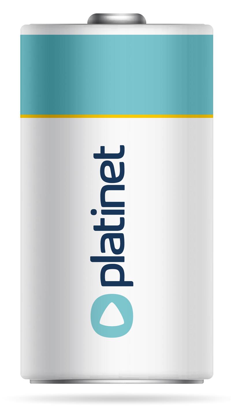 Platinet PMBLR202B huishoudelijke batterij Wegwerpbatterij LR20 Alkaline