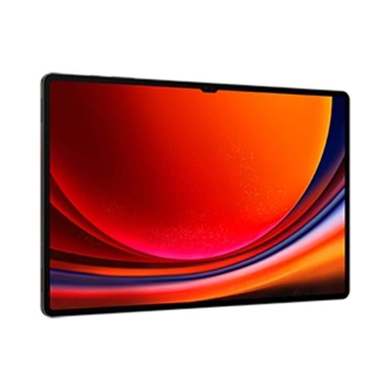 Samsung Galaxy Tab S9 Ultra SM-X910N 512 GB 37,1 cm (14.6"") Qualcomm Snapdragon 12 GB Wi-Fi 6 (802.11ax) Android 13 Grafiet